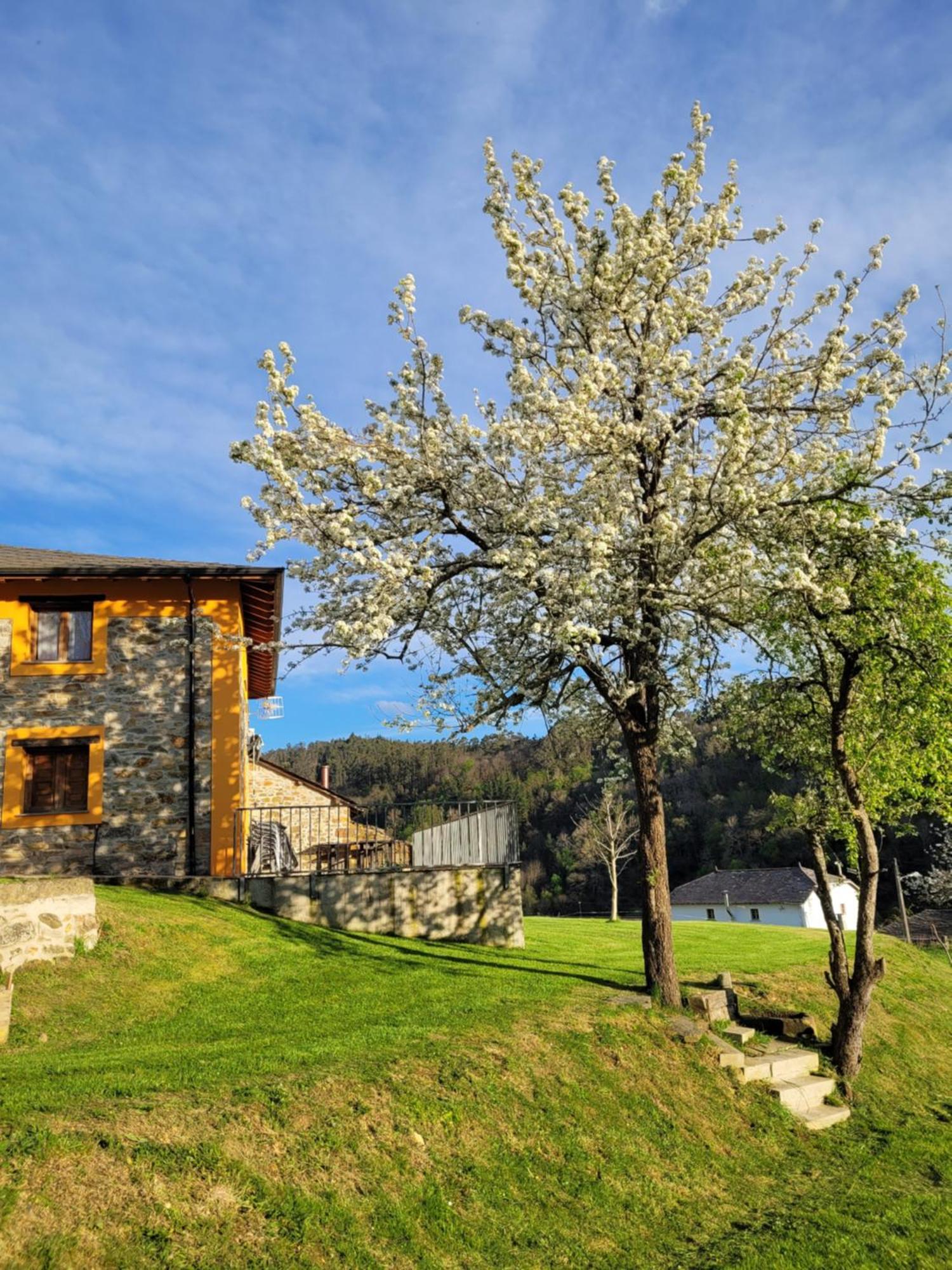 Casa El Fanoso Сasa de vacaciones *